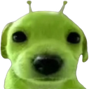 :glurp: