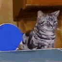 :Ping_pong: