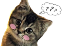 :chaton_question: