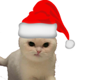 :Chat_deter2Noel: