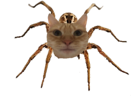 :charaignee: