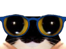 :chat_lunettes_3: