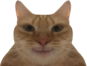 :Chatmesquin: