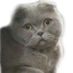 :Chat_Tristounet: