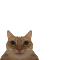 :minichat: