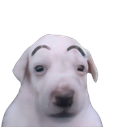 :Purer2: