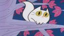 :chat_peur2: