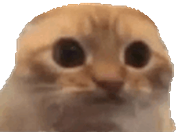 :whatzarbi: