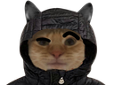 :chathuh: