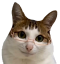 :chat_lunettes_psy: