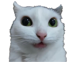 :chat_zieute2: