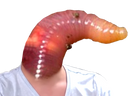 :ver_degueu: