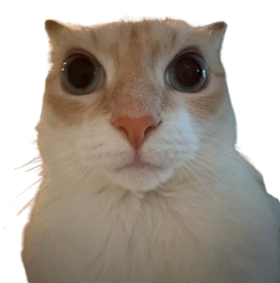 :chatounet: