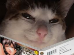 :chat_magazine: