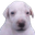 Photo de profil de Todd