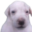 Photo de profil de Todd