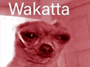 :Wakatta: