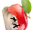 :deadkot5: