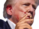 :Trumpfumesang: