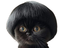 :chabol:
