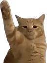 :Chadolf_H2: