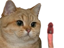 :sodium_bite: