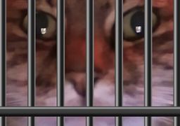 :chatcage: