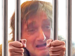 :palmade_prison: