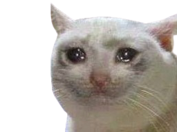 :cat_sad:
