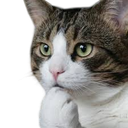 :Chat_question: