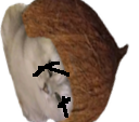:deadkot7: