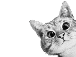 :Chat_Curieux: