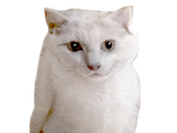:malin: