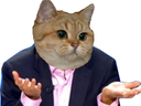 :sodium_paume: