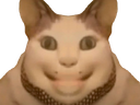 :chat_flippant: