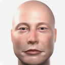 :chauve_elon: