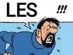 :Haddock_les: