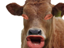 :Vache_qui_fait_meuh: