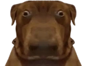 :teddilarge: