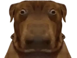 :teddilarge: