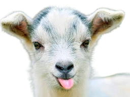 :Biquette1: