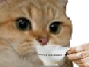 :sodium_slurp: