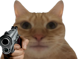 :chatire: