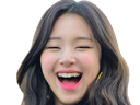 :chaeyoung_laugh3: