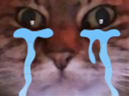 :chatzoomtriste: