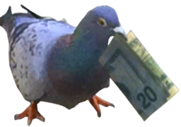 :Pigeon_argent: