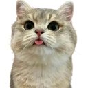 :Chatchat_te_tire_la_langue: