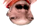 :soleilfildu: