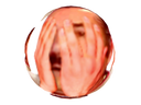 :orbitas4: