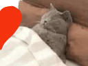 :Chadorlove2: